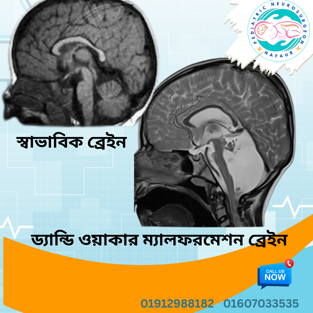 Website Images (32) Website Images (32)