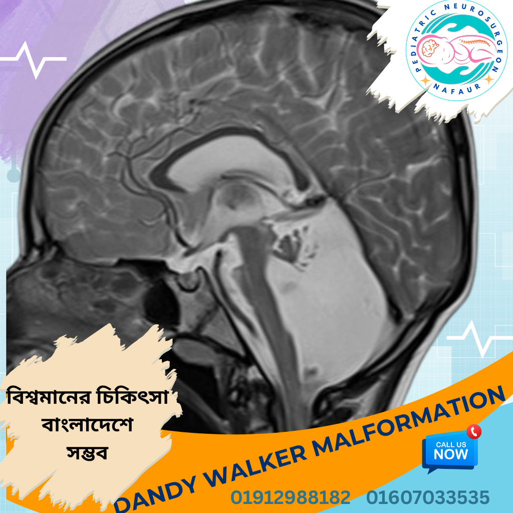 Website Images (33) Website Images (33)